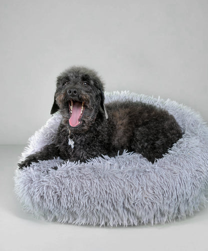 Panier apaisant pour chien
