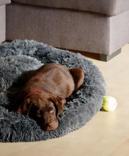 Panier apaisant pour chien