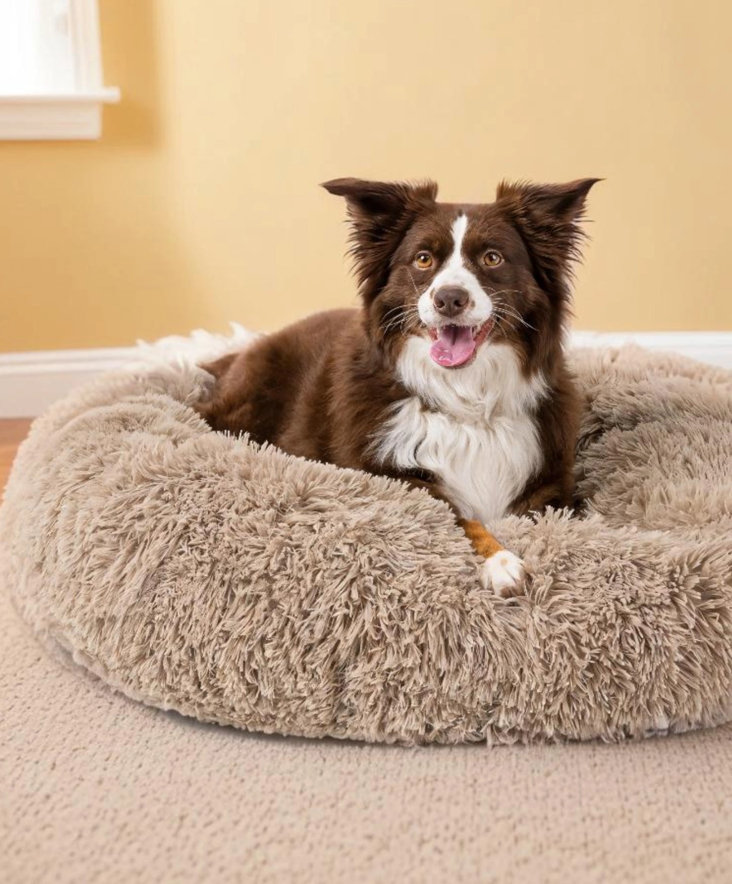 Panier apaisant pour chien
