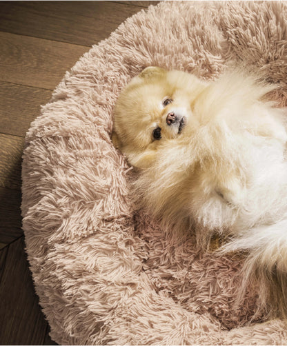 Panier apaisant pour chien