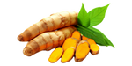 Organic Turmeric