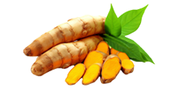 Organic turmeric