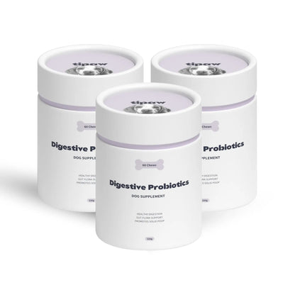 Digestive Probiotics compléments pour chien