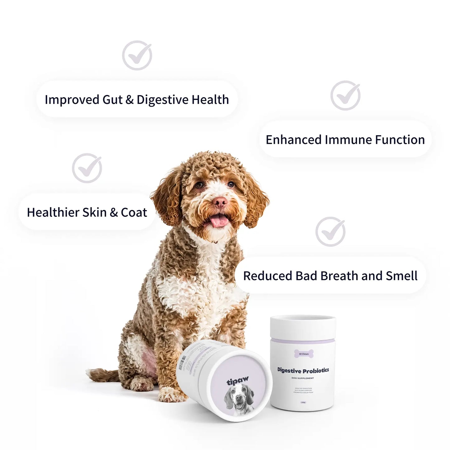 Digestive Probiotics compléments pour chien